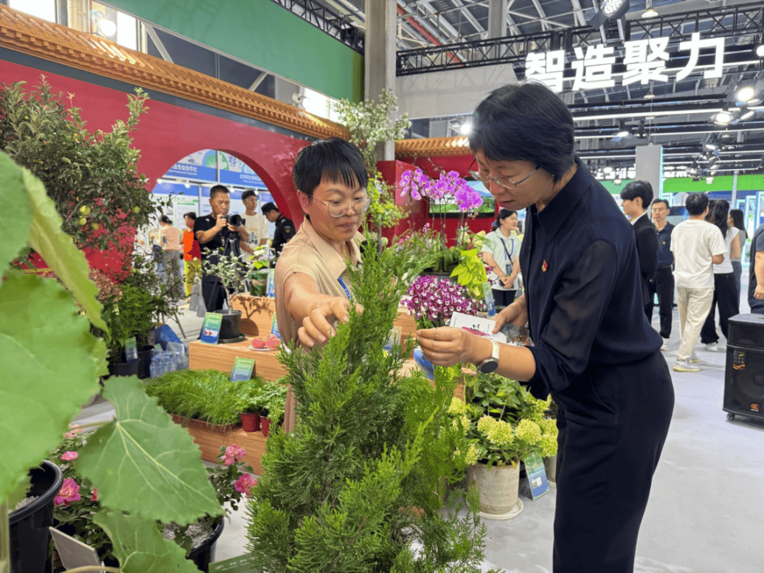 北京市統計局局長李素芳赴通州調研種業與現代農業發展，強調科技賦能與數據支撐
